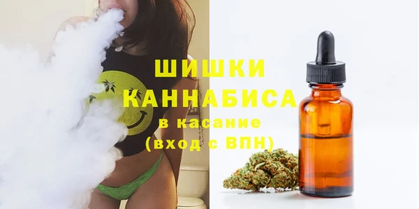 mdpv Гусев