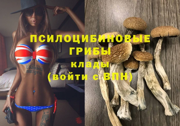 эйфоретик Алексин