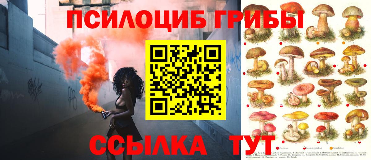 Галлюциногенные грибы мицелий  Псилоцибиновые грибы Psilocybe  Вход с VPN  Курган 