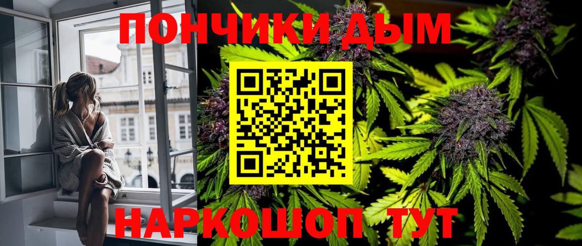 Бошки Шишки индика Курган